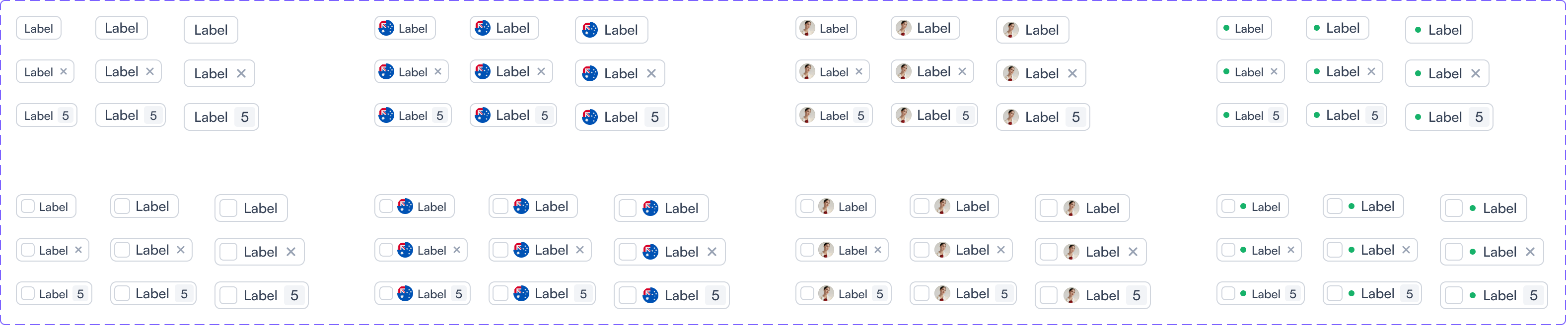 Tag and chip variants with avatars, dismiss actions, counts and checkbox prefixes