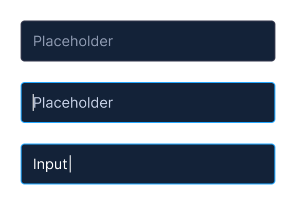 The input component in placeholder, focused and filled states